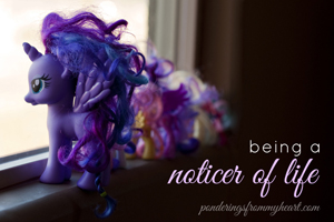 Being a Noticer of Life